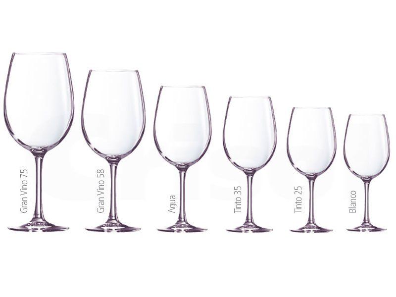 COPA CABERNET TULIP (CAJA 12 UNIDADES)