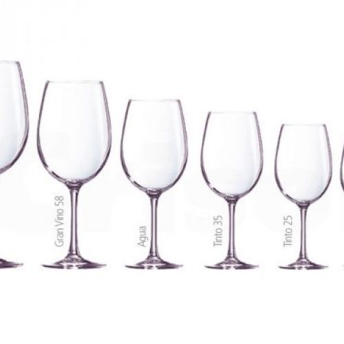 COPA CABERNET TULIP (CAJA 12 UNIDADES)